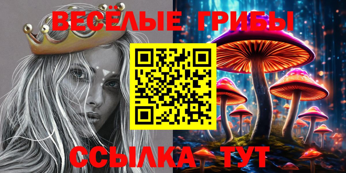 Псилоцибиновые грибы Psilocybe  Вход с VPN  Галлюциногенные грибы ЛСД  Красный Сулин 