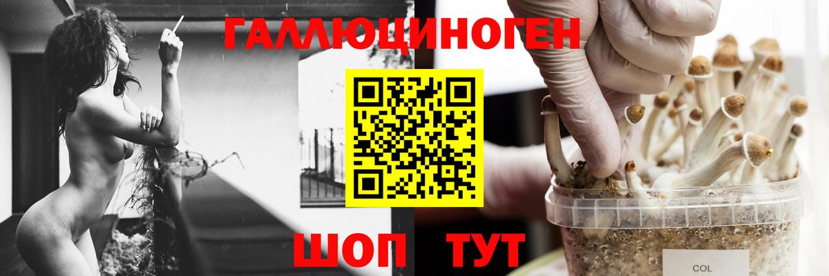 Галлюциногенные грибы ЛСД Красный Сулин